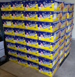 언론보도자료 > 보도자료 > 세종소식 > 세종소개