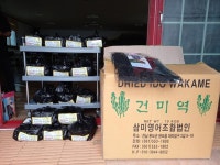 우리마을사진 > 열린광장 >