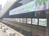 우리마을사진 > 열린광장 >