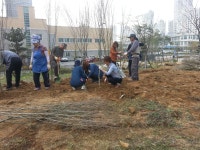 우리마을사진 > 열린광장 >