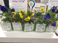 우리마을사진 > 열린광장 >