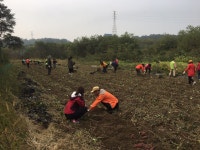 우리마을사진 > 열린광장 >