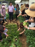 사진첩 > 열린마당 >