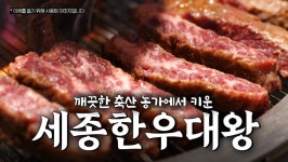 유튜브콘텐츠 > 영상자료 > 세종소식 > 세종소개