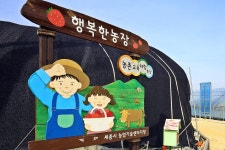 우리마을 블로그 > 열린광장 >