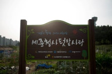 우리마을 블로그 > 열린광장 >