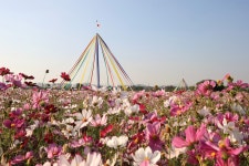 우리마을 블로그 > 열린광장 >