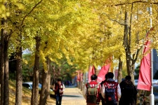 우리마을 블로그 > 열린광장 >