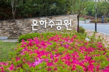 우리마을 블로그 > 열린광장 >