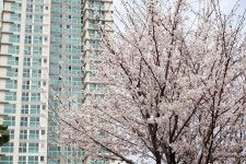 우리마을 블로그 > 열린광장 >