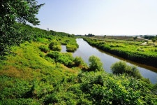 세종시콘텐츠허브 > 블로그기자단 > 시민리포트 > 민원·소통·참여