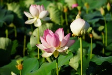 세종시콘텐츠허브 > 블로그기자단 > 시민리포트 > 민원·소통·참여