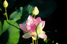 세종시콘텐츠허브 > 블로그기자단 > 시민리포트 > 민원·소통·참여