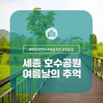세종시콘텐츠허브 > 블로그기자단 > 시민리포트 > 민원·소통·참여