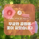 세종시콘텐츠허브 > 블로그기자단 > 시민리포트 > 민원·소통·참여