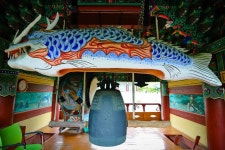 세종시콘텐츠허브 > 블로그기자단 > 시민리포트 > 민원·소통·참여