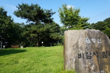 세종시콘텐츠허브 > 블로그기자단 > 시민리포트 > 민원·소통·참여