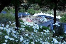 세종시콘텐츠허브 > 블로그기자단 > 시민리포트 > 민원·소통·참여