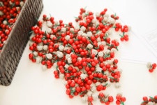 세종시콘텐츠허브 > 블로그기자단 > 시민리포트 > 민원·소통·참여