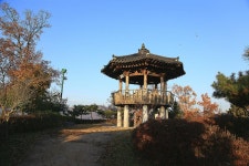 세종시콘텐츠허브 > 블로그기자단 > 시민리포트 > 민원·소통·참여