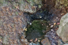 세종시콘텐츠허브 > 블로그기자단 > 시민리포트 > 민원·소통·참여