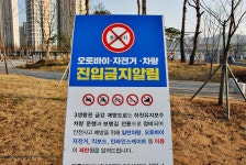 세종시콘텐츠허브 > 블로그기자단 > 시민리포트 > 민원·소통·참여