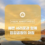 세종시콘텐츠허브 > 블로그기자단 > 시민리포트 > 민원·소통·참여