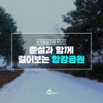 세종시콘텐츠허브 > 블로그기자단 > 시민리포트 > 민원·소통·참여