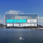 세종시콘텐츠허브 > 블로그기자단 > 시민리포트 > 민원·소통·참여