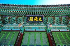 세종시콘텐츠허브 > 블로그기자단 > 시민리포트 > 민원·소통·참여