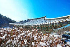 세종시콘텐츠허브 > 블로그기자단 > 시민리포트 > 민원·소통·참여