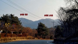 세종시콘텐츠허브 > 블로그기자단 > 시민리포트 > 민원·소통·참여