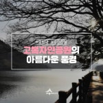 세종시콘텐츠허브 > 블로그기자단 > 시민리포트 > 민원·소통·참여