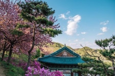 세종시콘텐츠허브 > 블로그기자단 > 시민리포트 > 민원·소통·참여