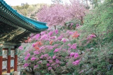 세종시콘텐츠허브 > 블로그기자단 > 시민리포트 > 민원·소통·참여