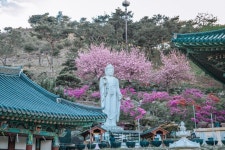 세종시콘텐츠허브 > 블로그기자단 > 시민리포트 > 민원·소통·참여