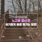 우리마을 블로그 > 열린광장 >