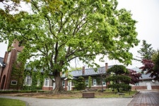 세종시콘텐츠허브 > 블로그기자단 > 시민리포트 > 민원·소통·참여