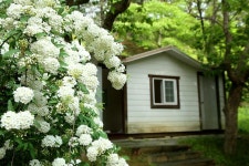 세종시콘텐츠허브 > 블로그기자단 > 시민리포트 > 민원·소통·참여