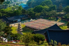 세종시콘텐츠허브 > 블로그기자단 > 시민리포트 > 민원·소통·참여