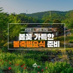 세종시콘텐츠허브 > 블로그기자단 > 시민리포트 > 민원·소통·참여