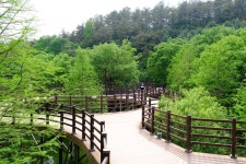 세종시콘텐츠허브 > 블로그기자단 > 시민리포트 > 민원·소통·참여