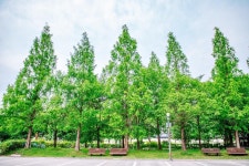 세종시콘텐츠허브 > 블로그기자단 > 시민리포트 > 민원·소통·참여