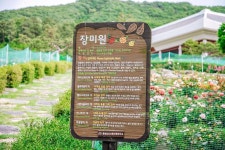 세종시콘텐츠허브 > 블로그기자단 > 시민리포트 > 민원·소통·참여