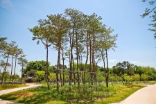 세종시콘텐츠허브 > 블로그기자단 > 시민리포트 > 민원·소통·참여