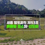 세종시콘텐츠허브 > 블로그기자단 > 시민리포트 > 민원·소통·참여