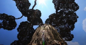 세종시콘텐츠허브 > 블로그기자단 > 시민리포트 > 민원·소통·참여