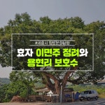 세종시콘텐츠허브 > 블로그기자단 > 시민리포트 > 민원·소통·참여
