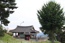 세종시콘텐츠허브 > 블로그기자단 > 시민리포트 > 민원·소통·참여