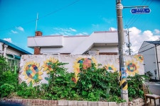 세종시콘텐츠허브 > 블로그기자단 > 시민리포트 > 민원·소통·참여